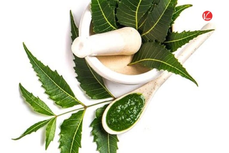 Neem Leaves Benefits