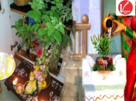 Tulsi Pujan Rules