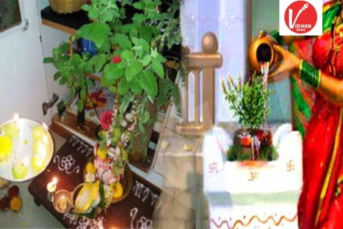 Tulsi Pujan Rules