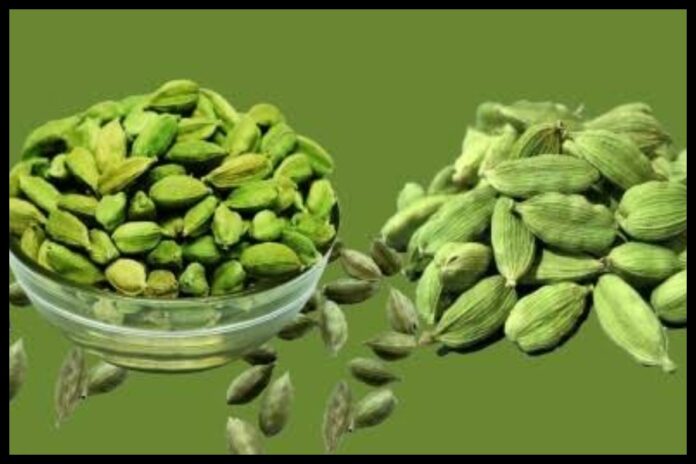 Cardamom Peel Benefits