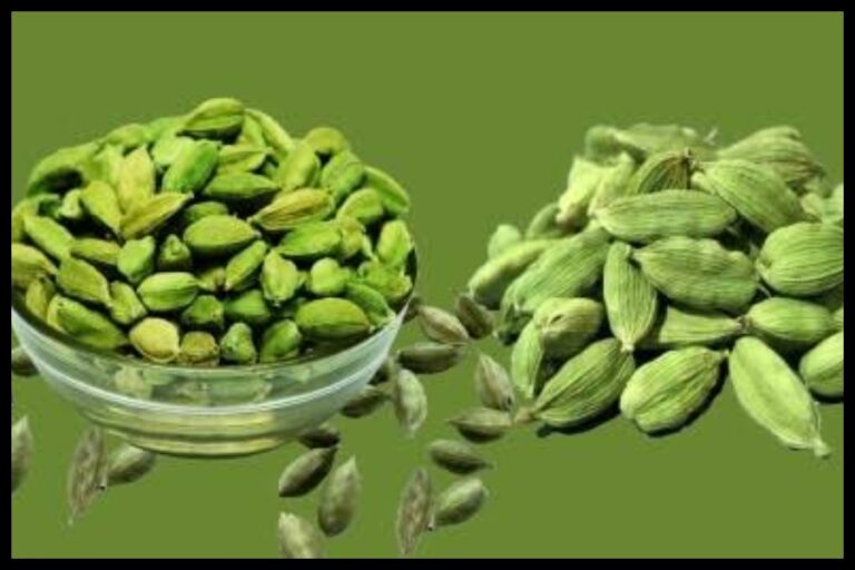 Cardamom Peel Benefits