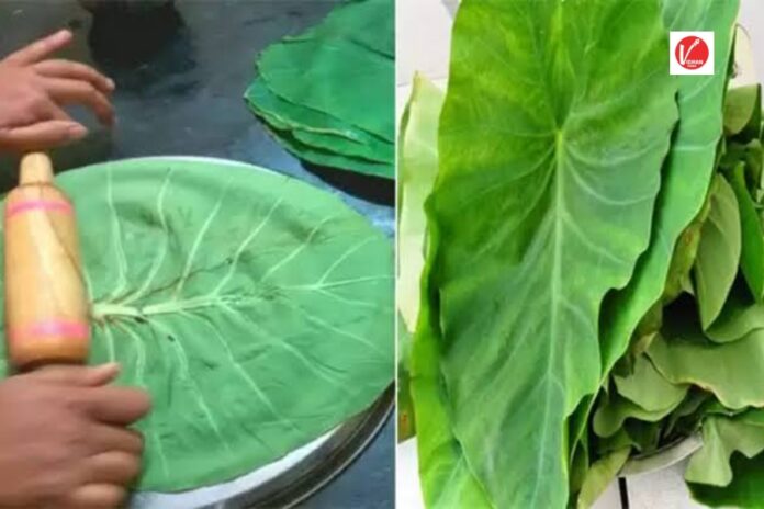 Arbi Leaves Benefits