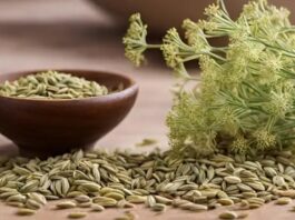 Benefits of fennel seeds