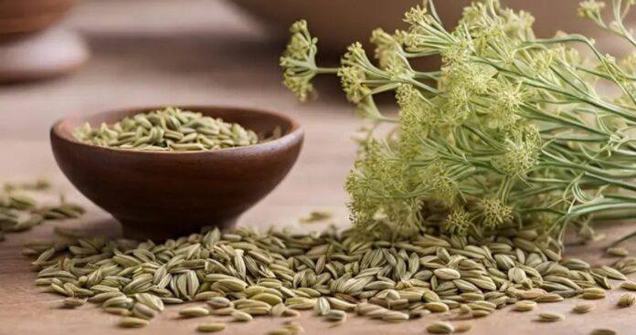 Benefits of fennel seeds
