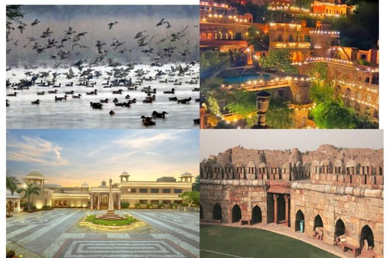 Delhi NCR Visiting Places: दिल्ली NCR के पास के सबसे बेहतरीन वीकेंड जगहें, जहां घूम कर डोल उठेगा मन