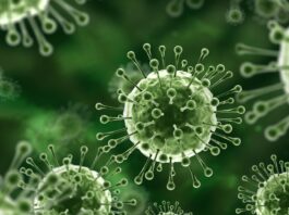 Nipah Virus Symptoms