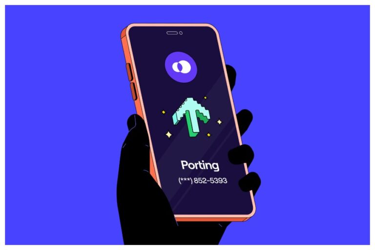 Porting Mobile Number: मोबाइल नंबर करवा रहे हैं पोर्ट, तो यहां दी गई जरूरी जानकारी है आपके लिए