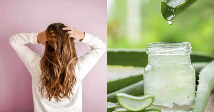 Remove dandruff with Aloe Vera