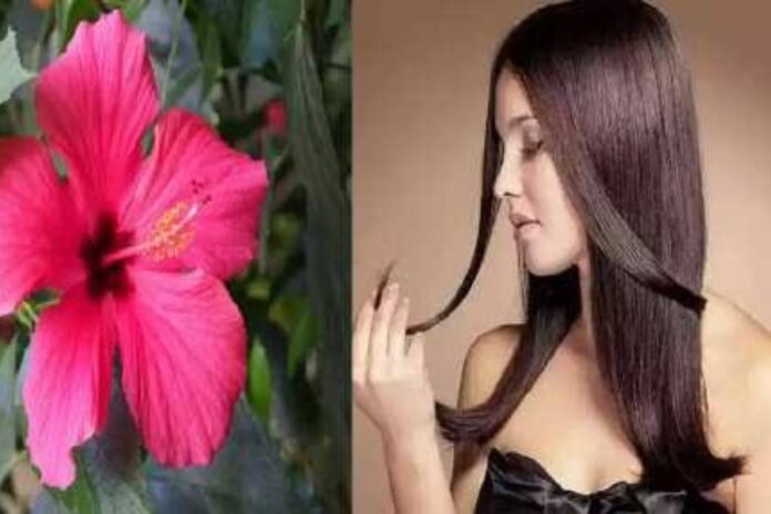 Hair Care Tips Hair Care Tips