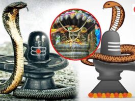 Nag Panchami