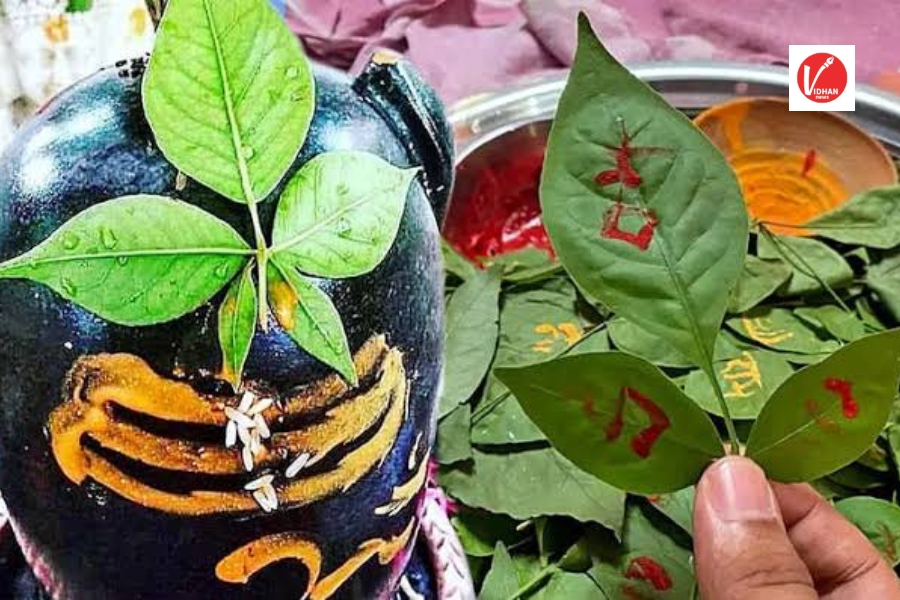 Sawan 2024 Sawan 2024