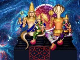 Rahu-Ketu Pujan