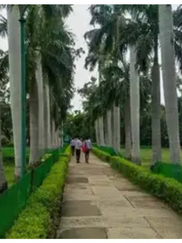 date 9