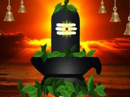 shivling belpatra