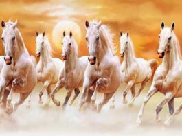 7 Horses Painting Direction