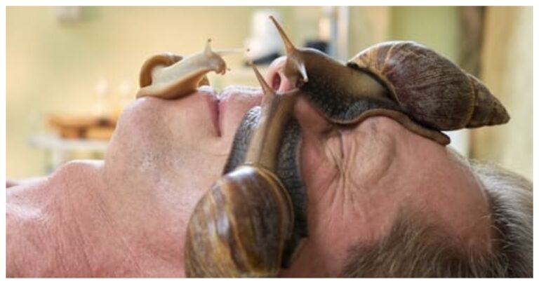 Benefits Of Snail Mucin