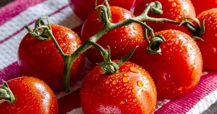 Disadvantages of Eating Tomatoes