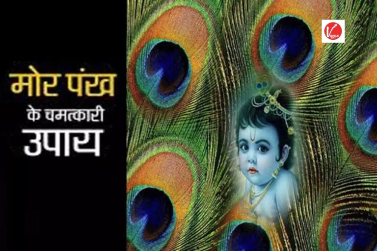 Janmashtami 2024: कंगाली नहीं छोड़ रही है पीछा तो कृष्ण जन्माष्टमी के दिन मोर पंख से करें ये 4 वास्तु उपाय, जीवन का हर कष्ट होगा दूर
