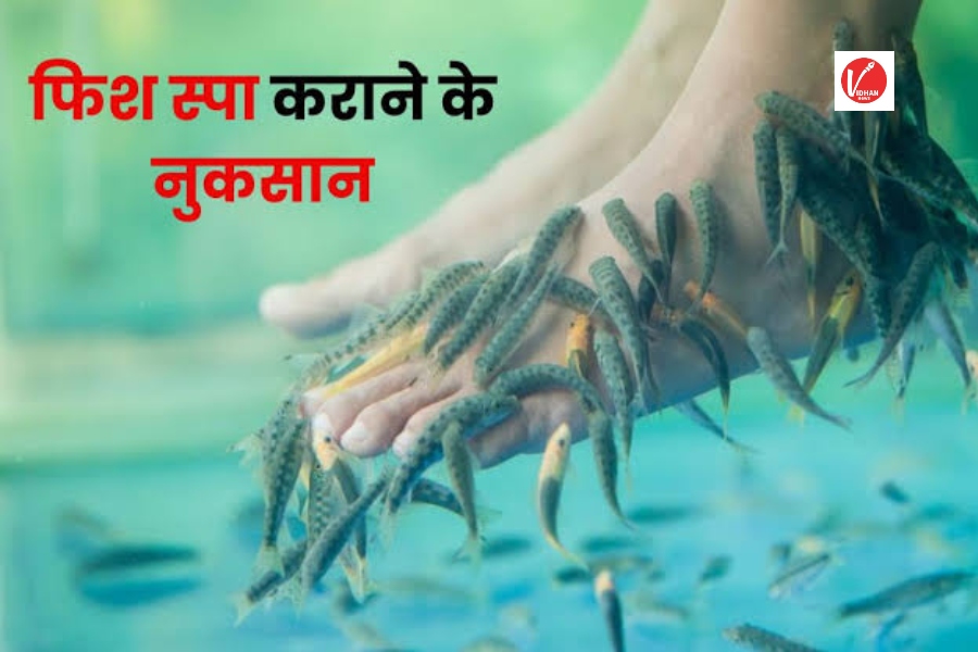 Fish Spa Side Effects Fish Spa Side Effects