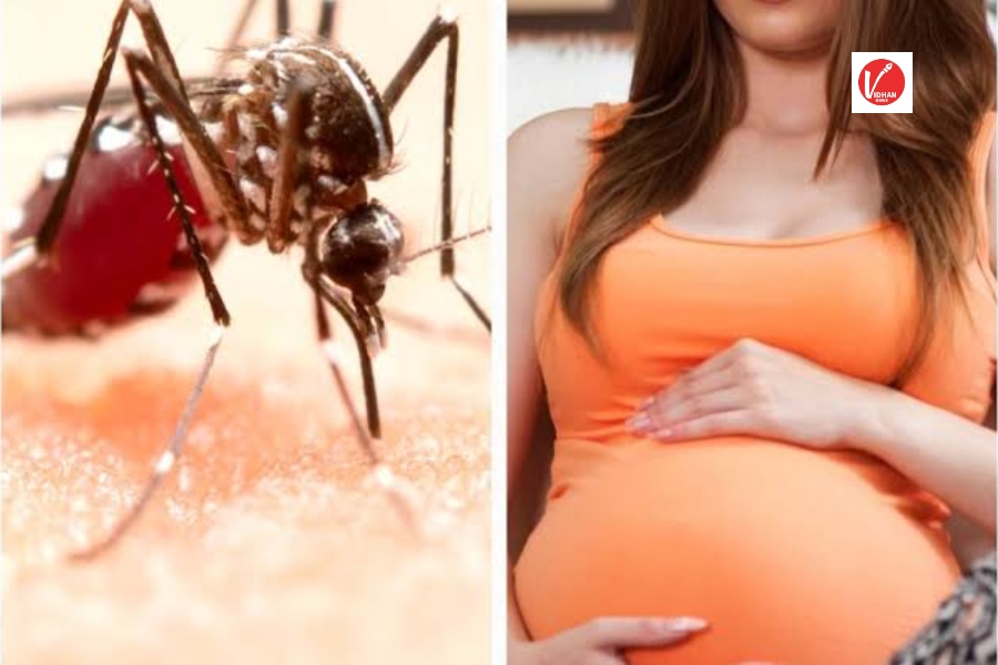 Dengue in Pregnancy