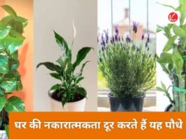 Vastu Tips