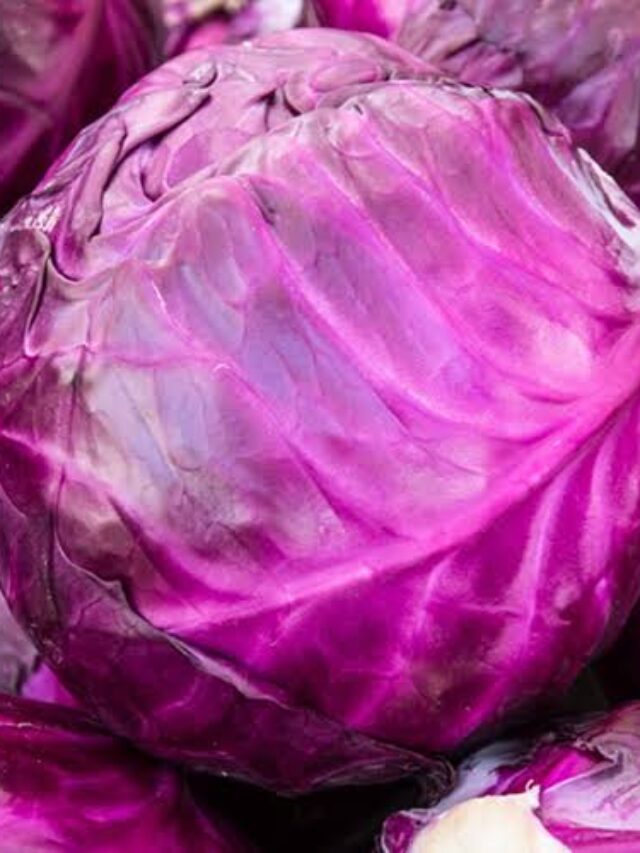 Cabbage Benefits