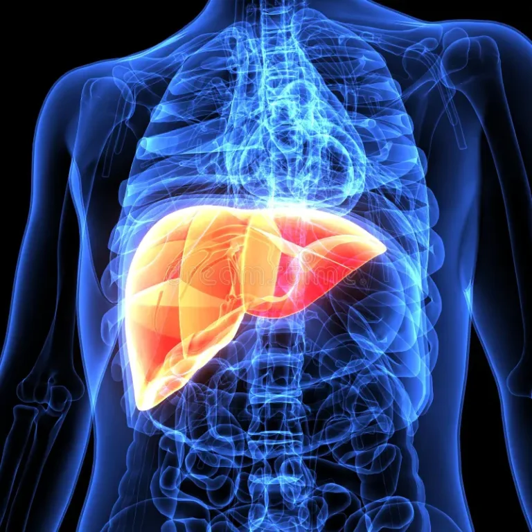 Healthy Liver Tips: