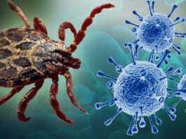 New Tick-Borne Virus