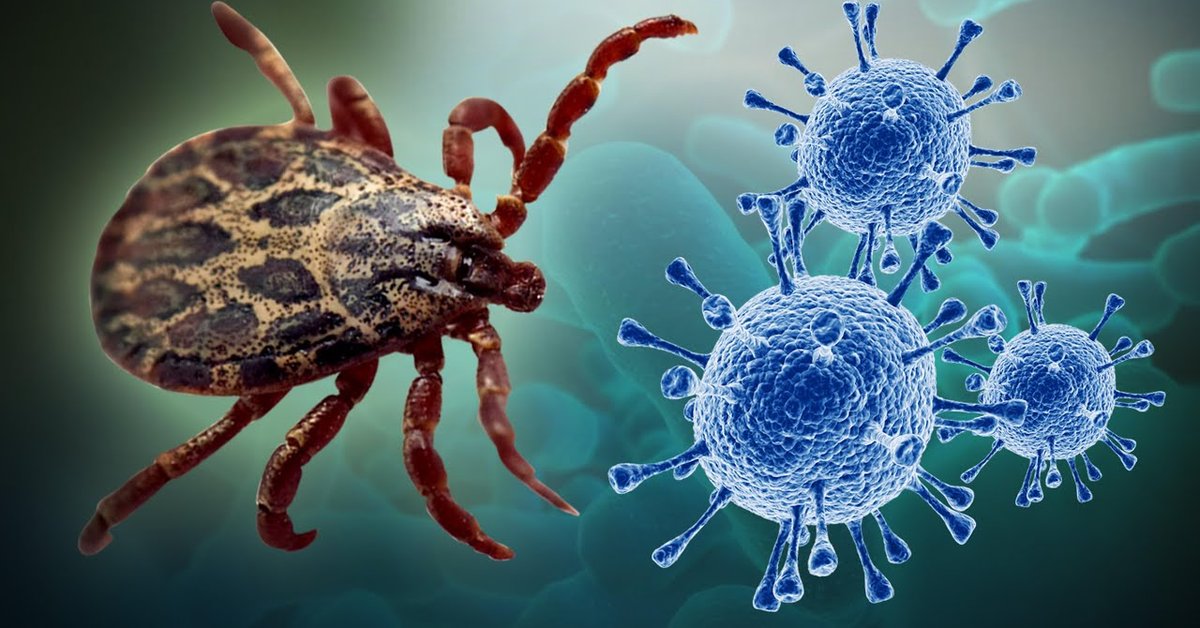 New Tick-Borne Virus