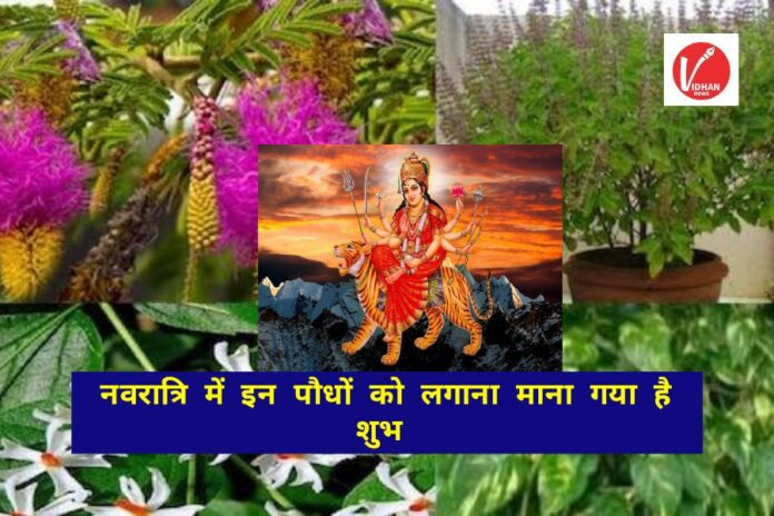 Shardiya Navratri 2024