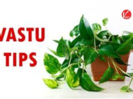 Vastu Tips