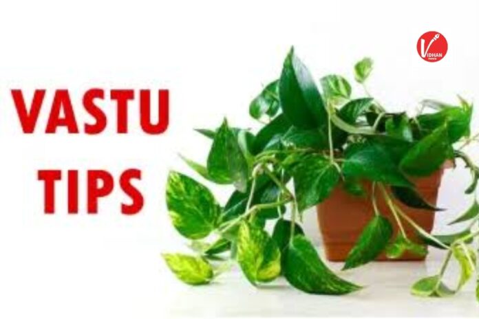 Vastu Tips