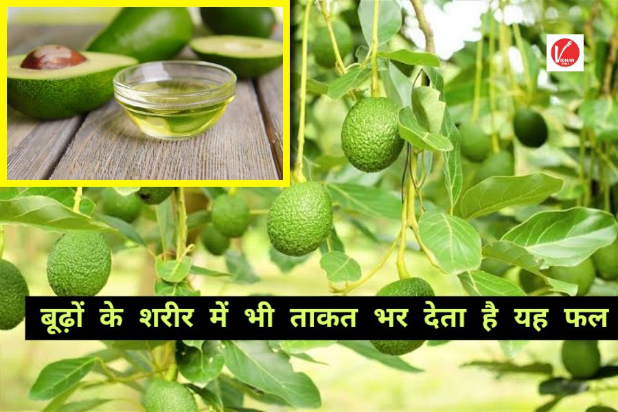 Benefits Of Avocado