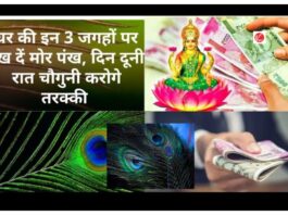 Morpankh Vastu Tips
