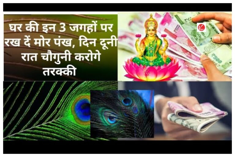 Morpankh Vastu Tips