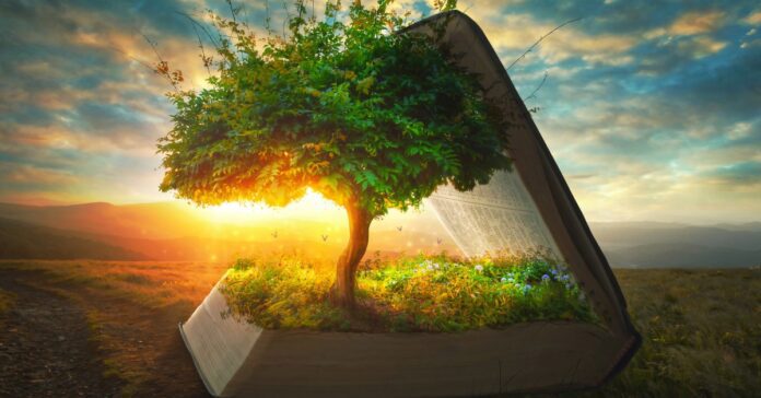 biblical-tree-cancer-treatment-ancient-seed-discovery biblical-tree-cancer-treatment-ancient-seed-discovery