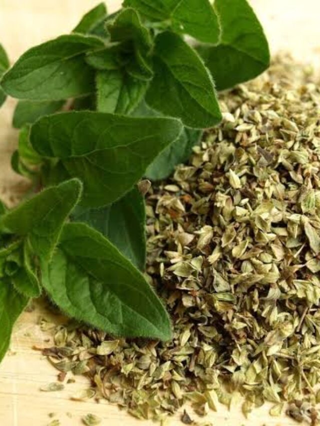 Ajwain Leaves Benefits