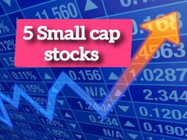 5-smal-cap-stocks-long-term-nivesh-ke-liye