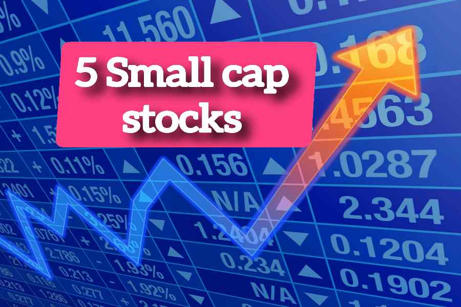 5-smal-cap-stocks-long-term-nivesh-ke-liye