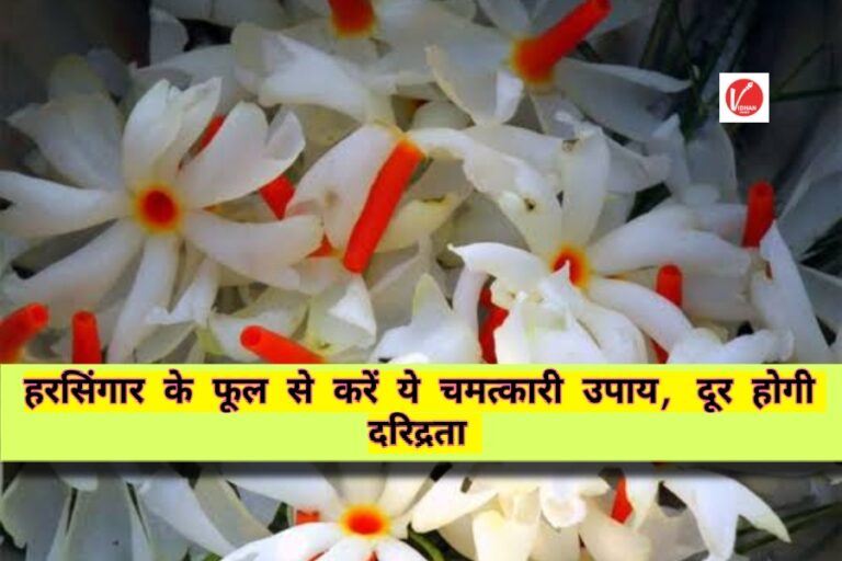 Harsingar Flower