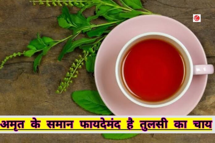 Health Tips