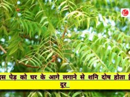 Vastu Tips
