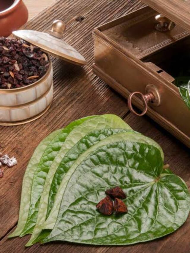 Health Tips: पान के पत्ते चबाने से मिलते हैं गजब के फायदे, शरीर से दूर रहती है ये बीमारियां