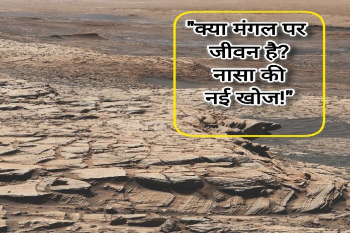 Life On Mars NASA Research