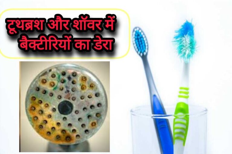 टूथब्रश और शॉवर में भयानक बैक्टीरिया, नई शोध से चौकाने वाला खुलासा