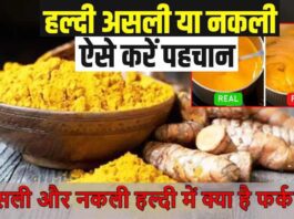 Turmeric Purity Test Video