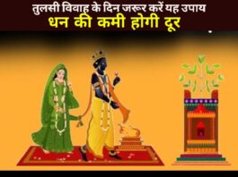 Tulsi Vivah 2024