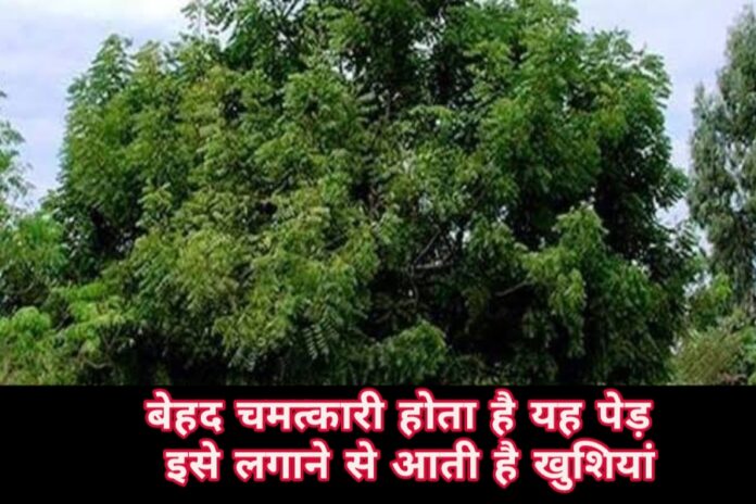Vastu Tips