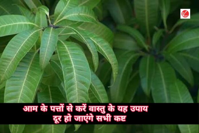 Vastu tips