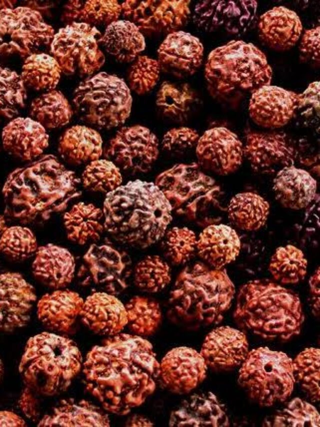 Vastu Tips : जीवन में आ रही है समस्याएं तो धारण करें ऐसा रुद्राक्ष, बनेंगे बिगड़े काम